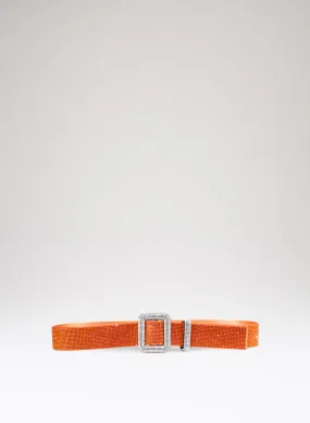 VENUS BELT – Il Paradiso A Colori